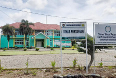 Pupuk Subsidi Petani Mukomuko Dipastikan Aman, Distribusi Gunakan Sistem e-RDKK