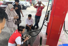 Pertamina Turun Tangan, Ambil Sampel Pertalite di Sejumlah SPBU Bengkulu Usai Kendaraan Warga Mogok