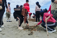 Mahasiswa FEB Unib dan Dispar Bengkulu Kompak Bersihkan Pantai Panjang, Bangun Semangat Kolaborasi Wisata