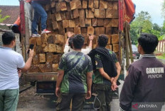  Hutan yang Menyusut, Bencana Mendekat