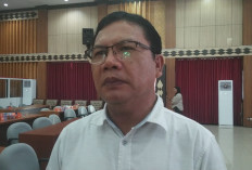 Harga Obat Naik, Dinkes Bengkulu Pastikan Pelayanan Rumah Sakit dan Puskesmas Tetap Optimal
