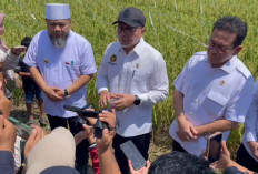 Zulhas Tegas di Bengkulu: Sawah Tak Boleh Beralih Fungsi, Irigasi Rusak Siap Dibenahi