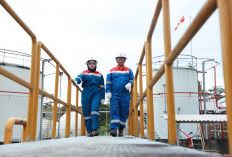 Kinerja Pertamina Hulu Energi Stabil, Produksi Migas 956 MBOEPD di Awal 2026
