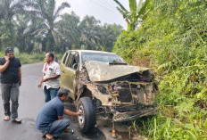 Mobil Dinas Kepala Satpol PP Bengkulu Utara Kecelakaan, Pengemudinya Bukan ASN