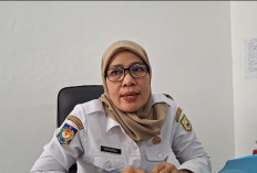 24 PPPK Paruh Waktu Pemprov Bengkulu Mundur, BKD Pastikan Pelayanan Publik Tetap Normal