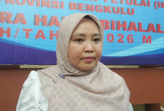 Pemprov Bengkulu Ubah Strategi PAD Sektor Tambang, Fokus ke Sumber Lebih Produktif