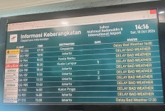 Kabut Asap Ganggu Bandara Palembang,     Penumpang Wajib Cek Status Penerbangan 