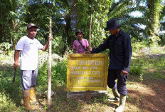 Genesis Surati DLHK, Dugaan Kebun Kas Desa di HPT dan HP Bengkulu Disorot
