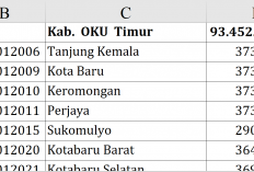 Fantastis! Dana Desa 2026 OKU Timur Tembus Rp93,45 Miliar, Ratusan Desa Dapat Rp373 Juta 