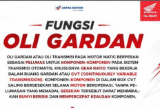 Jangan Sampai Terlambat, Ini Fungsi Oli Gardan Motor Matic yang Sering Terlupakan