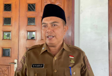 Resmi! Pemerintah Wajibkan Perusahaan Terapkan WFH 1 Hari Seminggu, Disnaker Bengkulu Siap Awasi