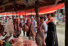 Satgas Saber Temukan Kenaikan Harga Pangan di 5 Kabupaten Bengkulu