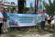 Komix Herbal Tebar Kepedulian di Bengkulu, Kurban Domba Super untuk Warga Saat Idul Adha 1447 H