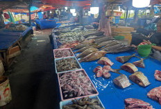 Cuaca Buruk Picu Kelangkaan Ikan di Bengkulu, Harga Melonjak