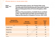 Hotel Non Bintang Kian Mendominasi Bengkulu, Capai 254 Unit pada 2025