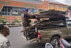 Lapak Disita Satpol PP Rejang Lebong, PKL S Sukowati Diberi Deadline Jumat