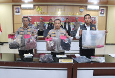 Bunuh Ibu dan Nenek, Pria di Pasaman Barat Terancam 20 Tahun Penjara