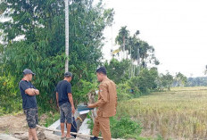 Oplah Non Rawa Mukomuko Rampung 100 Persen, 809 Hektare Lahan Kini Lebih Produktif