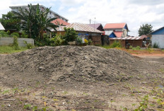 Ketika Abu Batubara Mengetuk Pintu Rumah: Suara Warga Sumatera yang Menunggu Energi Bersih
