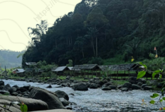 Dana Desa 2026 Rejang Lebong Rp36,7 Miliar, Air Apo Tertinggi Rp481 Juta  