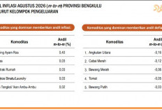 Harga Peralatan Rumah Tangga Bengkulu Makin Mahal, Ada yang Tembus 7,14 Persen