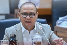 Menteri P2MI Ungkap Peluang Kerja di Luar Negeri, Baru 26 Persen Terisi
