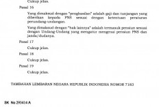 Lulus Seleksi, Dosen PPPK Resmi Jadi PNS dan Masa Kerja Bisa Dihitung