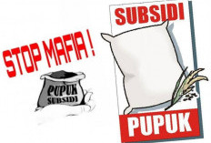 Mukomuko Darurat Penyalahgunaan! Pupuk Subsidi Diduga Banyak di Kuasai Oknum Pengusaha Sawit