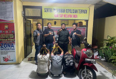 Modus Pinjam Motor Ambil Gaji, Pelaku Penggelapan Ranmor dan Maling iPhone Dibekuk Tim Macan Ratu