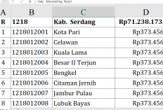 Dana Desa 2026 Serdang Bedagai Tembus Rp71,23 Miliar, Ini Daftar Lengkap Penerima Terbesar hingga Terkecil