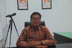 Malam Tahun Baru Diterjang Cuaca Ekstrem, BPBD Catat 11 Titik Pohon Tumbang di Bengkulu