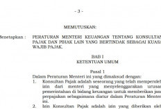 Data Palsu Bisa Berujung Pencabutan Izin Konsultan Pajak, Ini Ketentuan Terbarunya