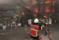 Satu Rumah dan Mobil Ludes Terbakar di Cempaka Permai Bengkulu, Pemilik Dilarikan ke RS