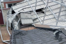 Cuaca Ekstrem Terjang Bengkulu, 11 Pohon Tumbang dan 10 Atap Rumah Terbang