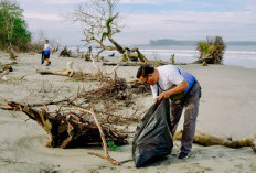 Cegah Pencemaran Berulang, Pertamina Patra Niaga Regional Sumbagsel Inisiasi Aksi Bersih Pantai di Bengkulu