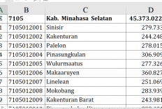 Dana Desa 2026 Minahasa Selatan Rp45,3 Miliar, Ongkaw II Tertinggi Rp373 Juta