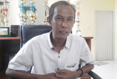 Pembangunan Gudang Bulog di Mukomuko Batal, Pemkab Cari Lokasi Baru di Kawasan Pertanian