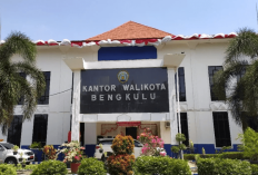 BPK Soroti Kesalahan Penganggaran Pemkot Bengkulu 2024, Belanja Modal dan Operasi Bermasalah