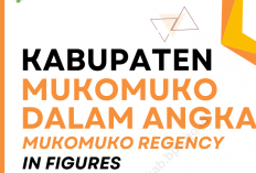 BPK Soroti Anggaran Pengawasan Mukomuko, Hanya 0,34 Persen dari APBD