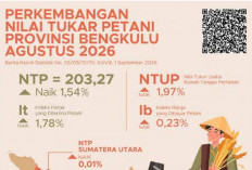 Pembudidaya Ikan Bengkulu Makin Berdaya, NTPi Naik 1,19 Persen pada Agustus 2026