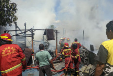 Diduga Korsleting Listrik, Dua Bangunan Termasuk PAUD Burniat Ceria Ludes Terbakar Dekat Benteng Marlborough