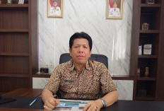 Kabar Gembira! Pemprov Bengkulu Buka Pemutihan Pajak Kendaraan Mulai 1 Mei, Denda Dihapus Total