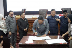 APBD Perubahan Bengkulu 2026 Fokus Gaji PPPK dan Infrastruktur, Anggaran Ratusan Miliar Berlanjut