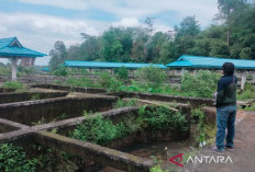 42 Kolam Terbengkalai di Rejang Lebong Disiapkan Jadi Pilot Project Dongkrak PAD