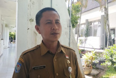 WFA ASN, PPPK Paruh Waktu Tetap Masuk Kantor Penuh