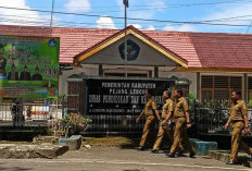 Pemkab Rejang Lebong Larang OPD Rekrut THL, Nasib Ratusan Guru Honorer Terancam