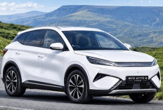 Bawa Teknologi Baru, BYD Atto 3 Bisa Tempuh 630 Km