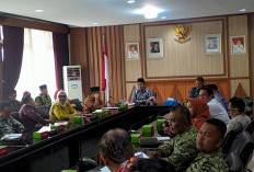 HUT RI ke-81 di Bengkulu Bakal Meriah, Pemprov Siapkan Panjat Pinang Massal 81 Batang