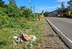 Sampah Berserakan di Jalur Lintas Provinsi, Pemdes Air Dikit Minta TPS Segera Dibangun