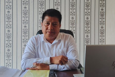 Kasus Kekerasan Seksual Anak di Lebong Disorot Hotman Paris, Polisi Tunggu Tes DNA